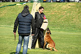 Dragon Veranis K-9 Dog Center