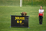 Falco Marshall Dogs