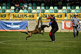 Erkan Arcanis