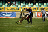 Erkan Arcanis
