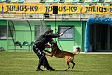 Vyatkin's Kombrig