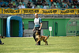 Aramis Red Devils Dog