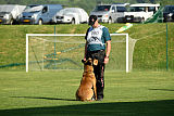 Aramis Red Devils Dog