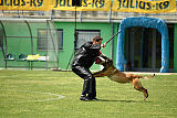 Aramis Red Devils Dog