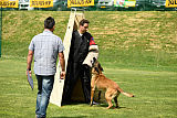 Aramis Red Devils Dog