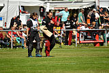 Wespe vom Further Moor