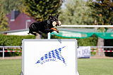 Buddy vom Hexenzauber