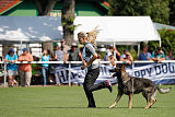 Duke vom Spektefeld