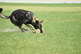 Crack vom Langen Elend
