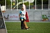 Cadha Force Canina