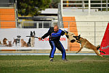 Cadha Force Canina