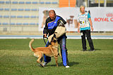 Cadha Force Canina