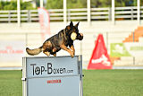 Antey Hitzig Hund