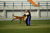 Ator van Hundespiel