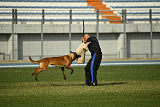 Ator van Hundespiel