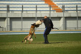 Ator van Hundespiel