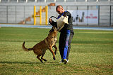 Ator van Hundespiel