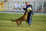 Ator van Hundespiel