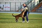Ator van Hundespiel