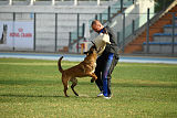 Ator van Hundespiel