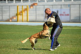 Parendo Vinces Alexander