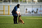 Mecberger Moodi