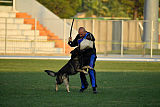 Enrico Alen's Hof