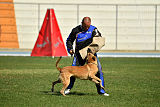 Mecberger Lassie