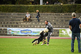 Diego vom Alten Bernauer Heerweg