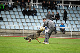 Cerina vom Herzogtum Braunschweig