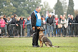 Kwaxy vom Wolfsheim
