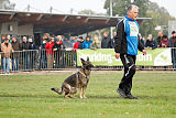 Kwaxy vom Wolfsheim