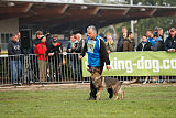 Kwaxy vom Wolfsheim