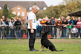Asti vom Hundehager