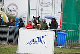 Bushido von Hund und Sport