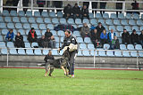 Bushido von Hund und Sport