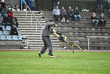 Bushido von Hund und Sport