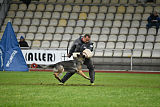 Bushido von Hund und Sport