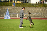 Emy vom Dahlhauser Schloßpark