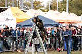 Hutch von Black Grey