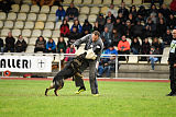 Hutch von Black Grey
