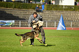 Jari vom Rothaarpark