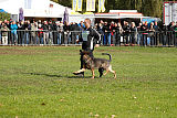 Baghira vom Wolfsstolz