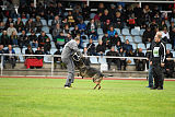 Baghira vom Wolfsstolz