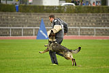 Esprit vom Verdener Wappen