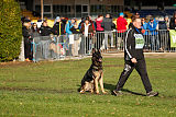 Bruno vom Wolfsstolz