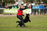 King vom Tim Thaler