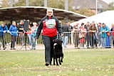 King vom Tim Thaler