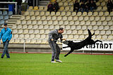 King vom Tim Thaler