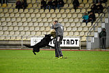 King vom Tim Thaler